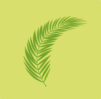 areca-leaf